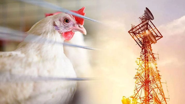 Bird Flu is not spreading out due to 5G trial