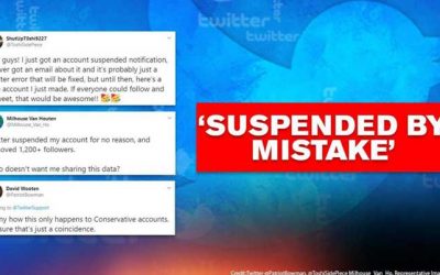 The Twitter Suspension Tale