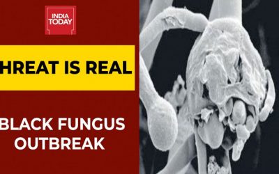 The dark threat of Black Fungus